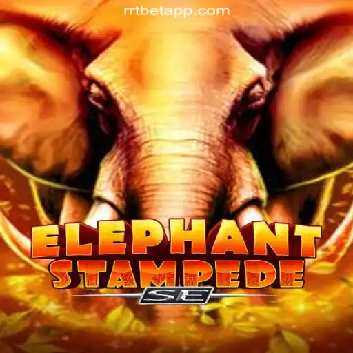 Discover the Thrills of ElephantStampedeSE: Your Guide to RRTBET.COM Platform-Oficial Slots Brasil