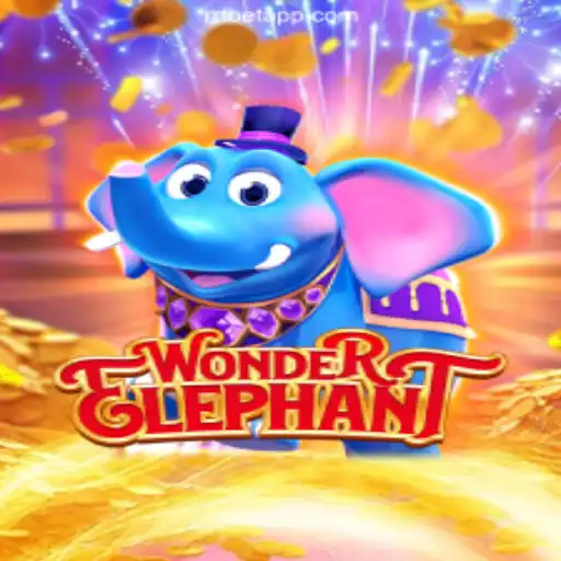 Discover the Excitement of WonderElephant on RRTBET.COM's Oficial Slots Brasil
